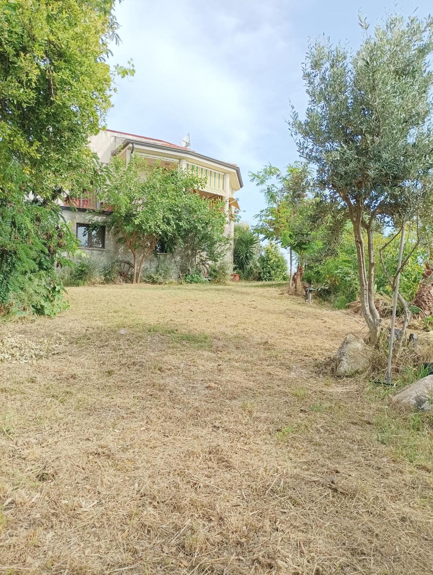 Palapico Hotel Bonifati Exterior photo